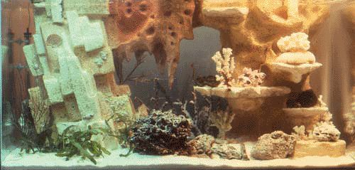 dcor en polystyrne dans un aquarium